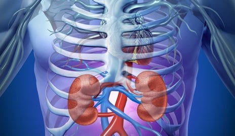 Kidney Disease