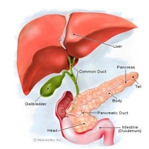 New Drug May Reduce Insulin Injection Dependence in Type 1 Diabetics